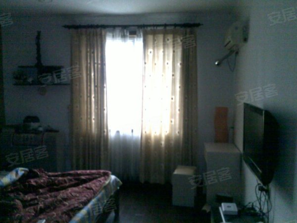 600x600.jpg