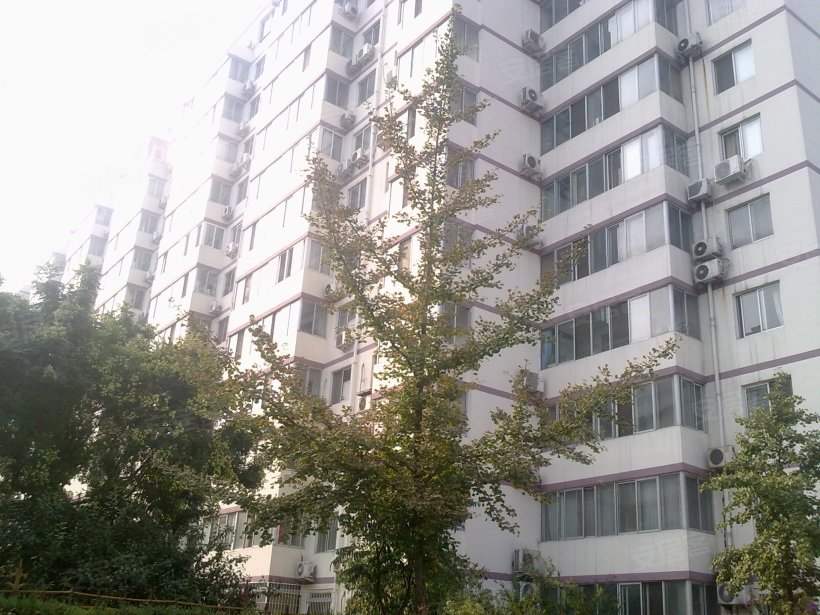 北京 草桥欣园小区照片