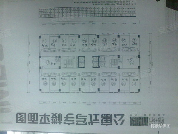 金成园海鲜农家菜_金成均和孔孝真_海鲜火锅(4)