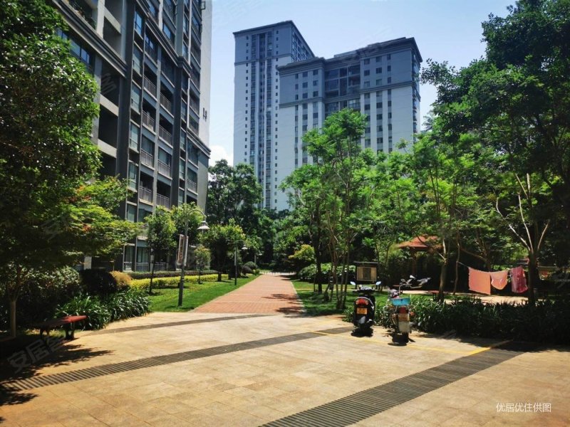 市政府旁 风华俊园 靠小区中心 毛坯3房急售