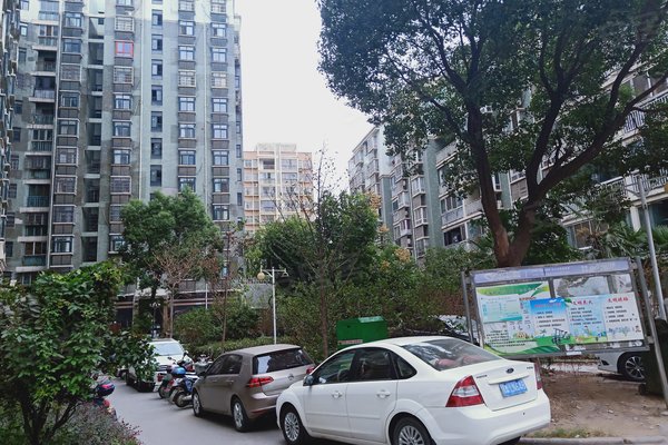 临漳有多少人口_临漳地图(3)