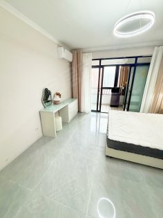 近工商建行云谷路双地铁口滨湖银泰中行徽商东方蓝海阳台独卫