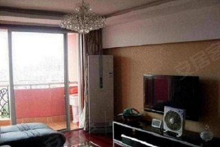 【多图】用心推好房 南洋绿都公寓 上海大学教