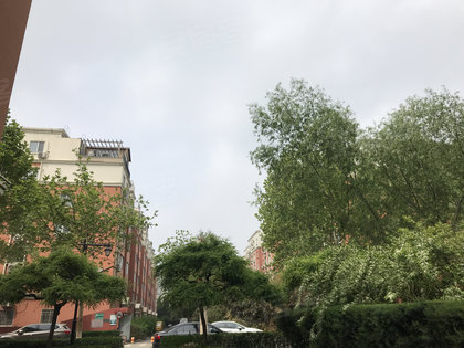 北京各小区人口普查_人口普查小区样板图(3)
