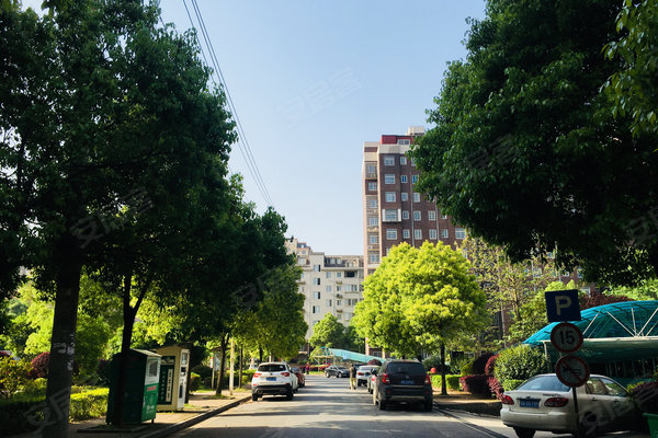 鄱阳人口碑