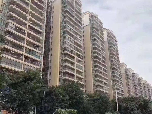 深圳宝安塘尾凤凰世纪花园凤城花园凤凰世纪4房出租4000元,南北通透