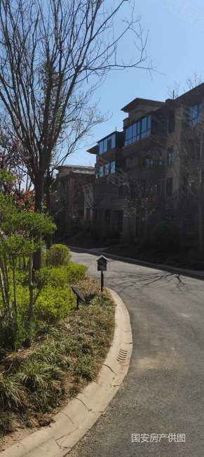 大者叠拼别墅送大露台送车位送地下室大产权超低价