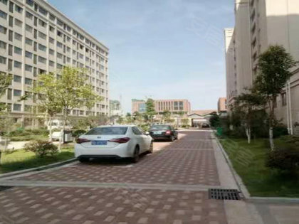 左岭社区人口_社区人口普查照片