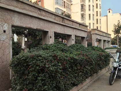 河南漯河人口碑怎么样_河南漯河图片(2)