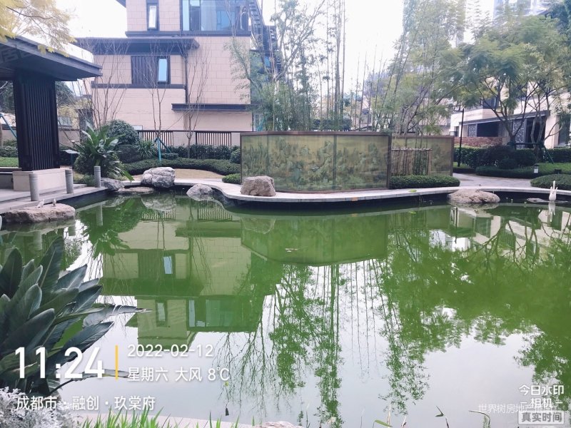 成都房产网>成都二手房>天府新区二手房>正兴二手房>融创玖棠府>800