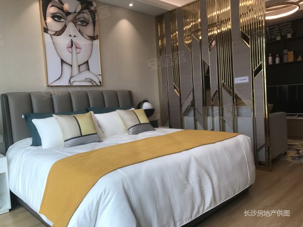 天心阁对面,三条地铁线环绕,豪装修单身公寓,带