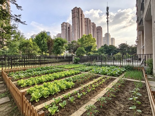独享私家庭院_金茂悦底复上下两层可住家__休憩种花_宠物友好