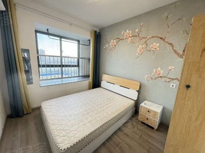 瑶海区闽商国贸旁_瑶海天街_梦和苑_通燃气_家电齐全_无线网
