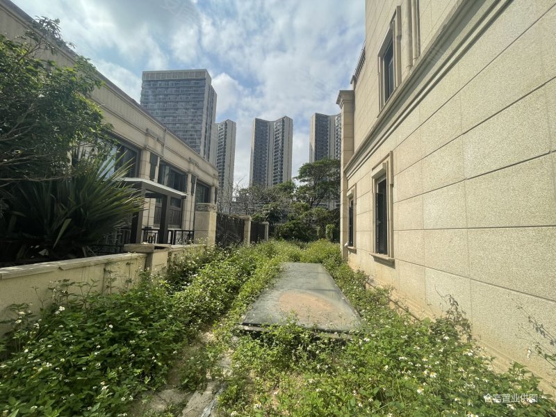 金地天河公馆别墅联排单边位三百平大花园五层使用