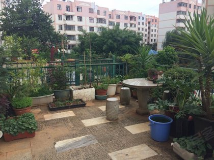厦门哪个小区外来人口多_厦门地图人口分布(2)