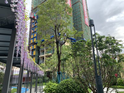 颐安滨悦名庭