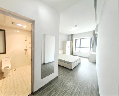 高新汇景城市中心主卧独卫_出门即银泰_地铁就在家门口民用水电