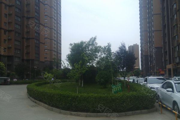 天鹅县长安家园有多少人口_天鹅卡通图片