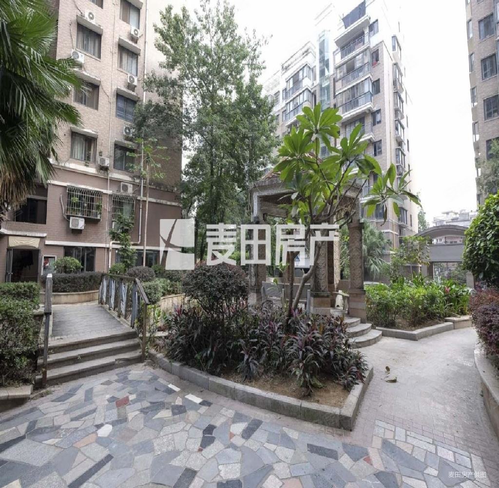 东端头花园社区电梯高层香樟林城市花园全明户型接送房
