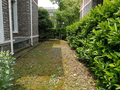 小区位于卫零路和东平北路中间,在金山新城区来说,位置不在闹市区.
