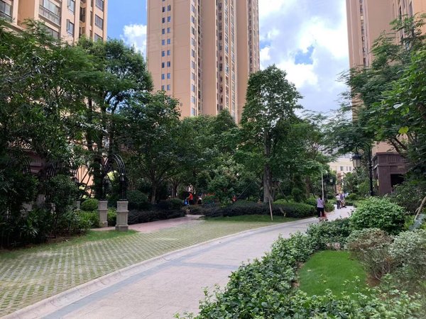 泉州晋江桥南片区百捷中央名门百捷中央名门 3室2厅2卫 2500元月 115