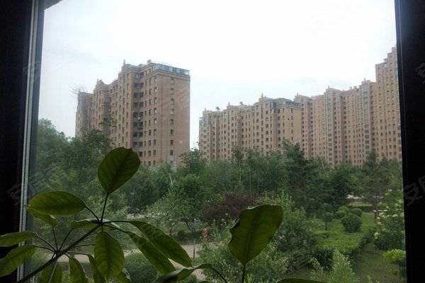 中海国际人口_中海国际社区户型图(2)