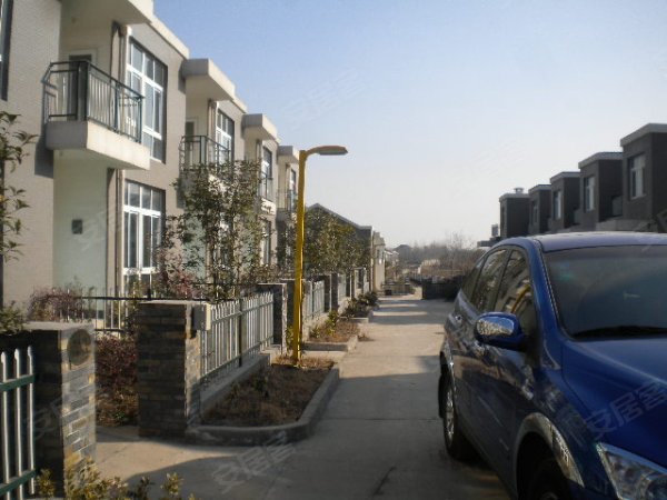 收入证明_桥林收入(2)