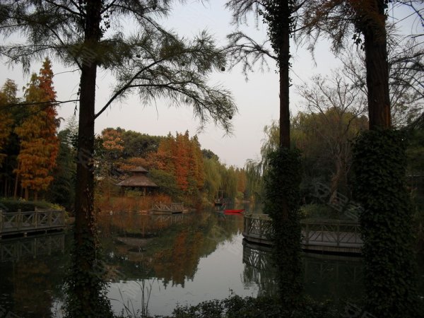 600x600.jpg
