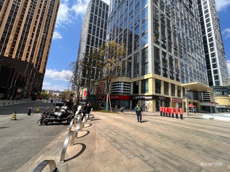 还在被房东赶 不如买套公寓 自己做房东 既买即住,万彩城(商住楼)二手