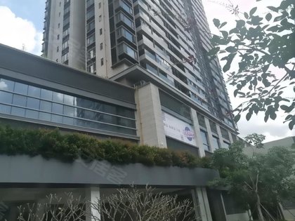 深业东岭