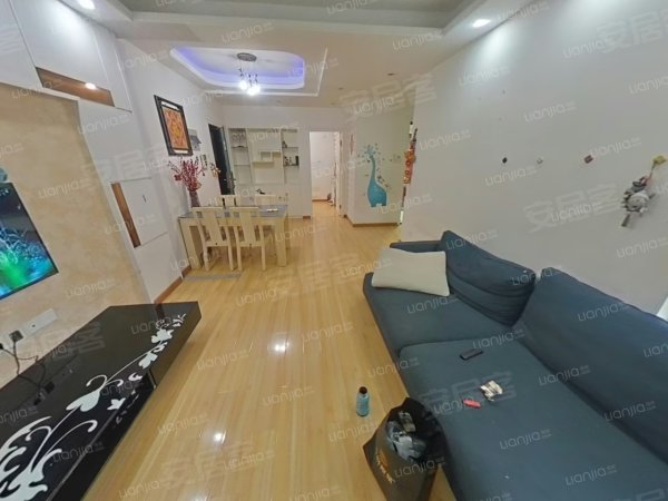 精装三房，实拍的，朱岗，秋浦河路，绿地瀛海，丽阳兰庭