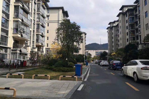 庐江人口碑_安徽庐江官员雅照