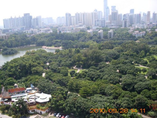 深圳荔枝公园附近租房求罗湖区荔枝公园附近合