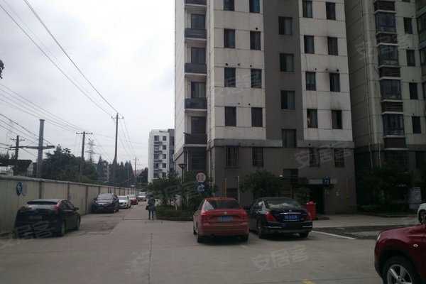 新乐人口碑_豪雅新乐学(2)