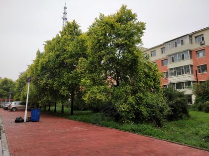 吉林人口碑怎么样_吉林农大八人寝照片