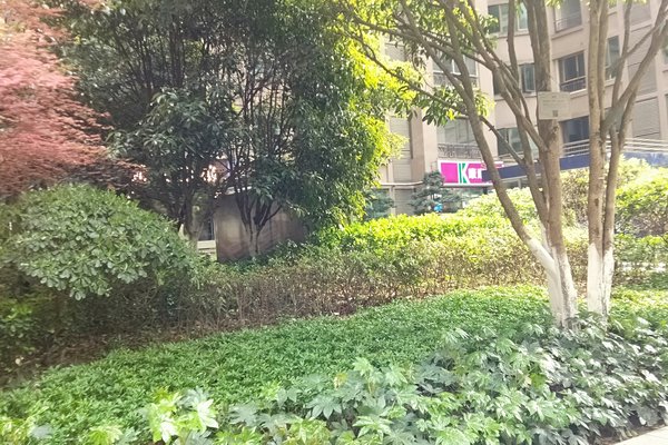 贵阳花果园有多少人口_贵阳花果园(2)