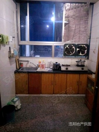 巴蜀小学本部指标房 指标未占用 采光好 平上3