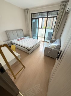 蓝鼎滨湖假日翰林园_南北通透_阳台独卫_精装修_采光哇塞