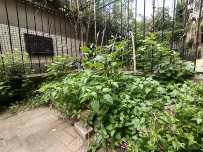 省供销社大院一楼带前开门院子精装2室1厅家具电器齐全随时看房