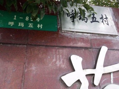 呼玛五村169号