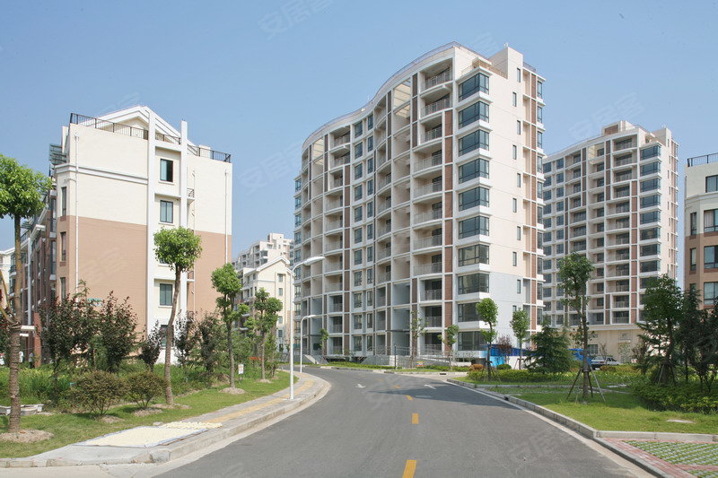 金碧汇虹苑 - 实景图 16 / 20