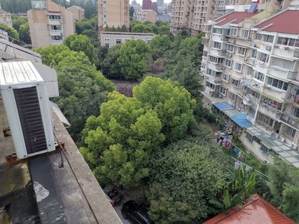 东城新村