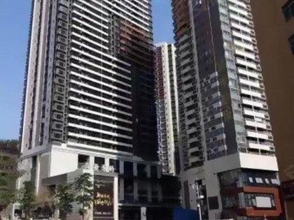 深业东岭