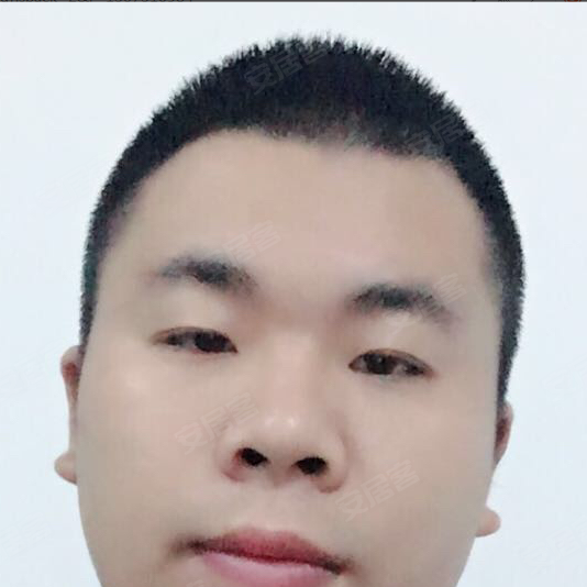 格还有优惠,错过无,带树人指标,重庆沙坪坝大学