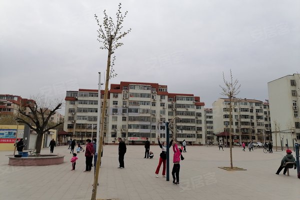 德州小学排名_德州一村小学(3)