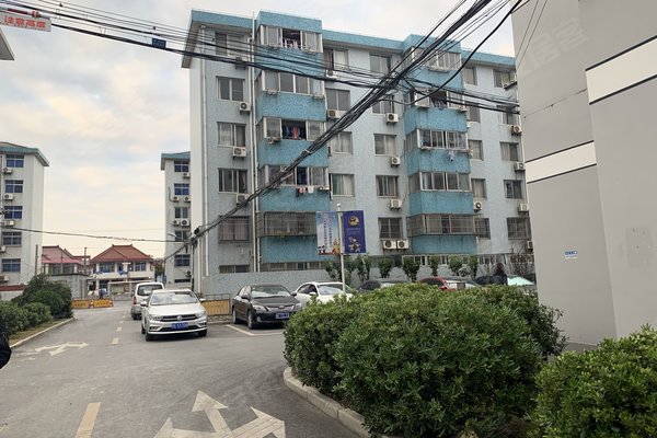 东泾村人口_漕泾镇水库村照片