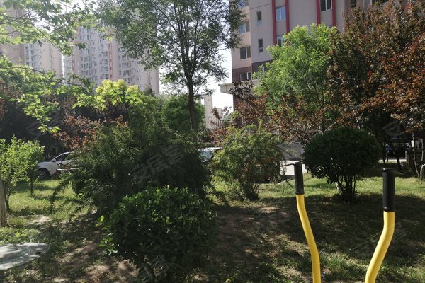 600x400c.jpg?t=1