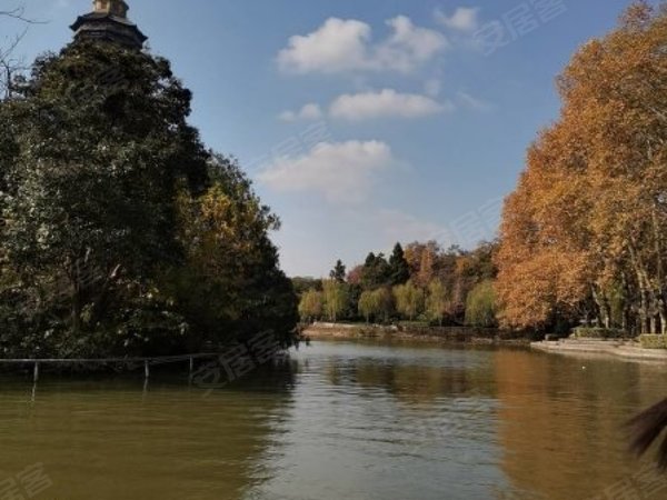 【多图】府西花园,万达租房,万达斜对面府西花园有多个大小单间独卫