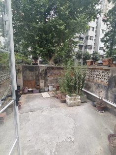 蜀山区二户室55平米正南6层