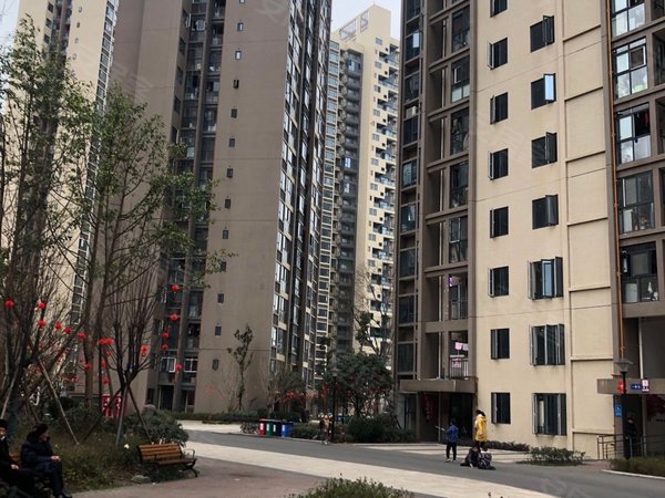 成都天府新区西博城保水逸苑c区天府新区兴隆地铁口紧挨天府华西医院
